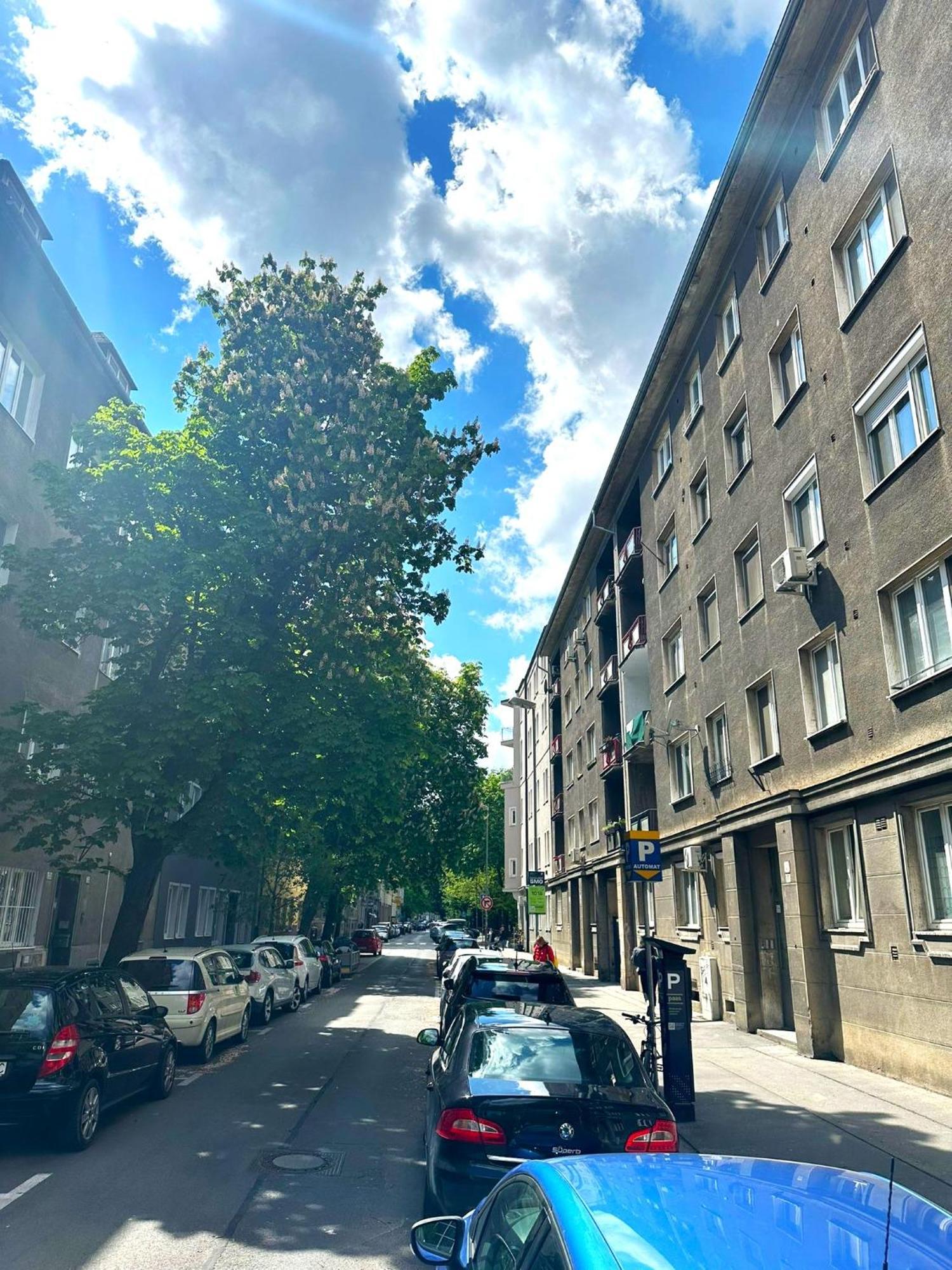 Apartment Helen - Old Town, Ac 브라티슬라바 외부 사진